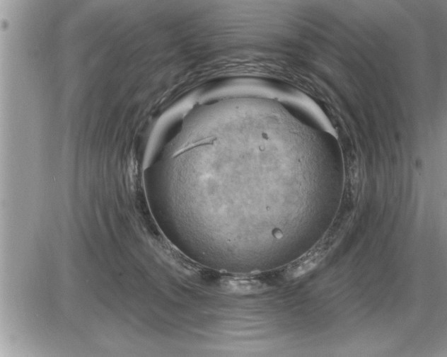 X0000087590372200705041515