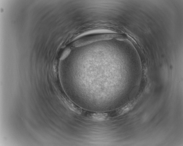 X0000087590373200705041515