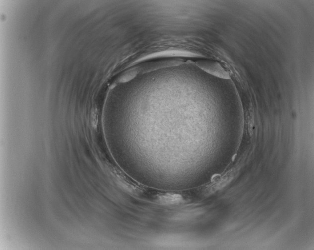 X0000087590374200705041515