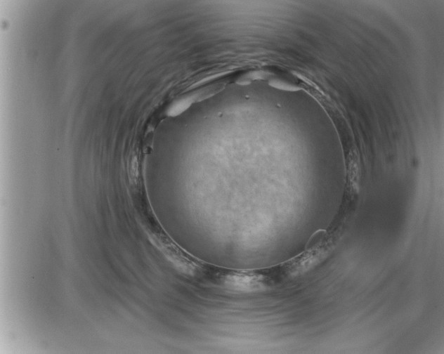 X0000087590375200705041515