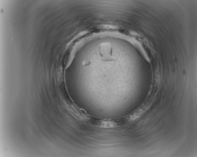 X0000087590376200705041515