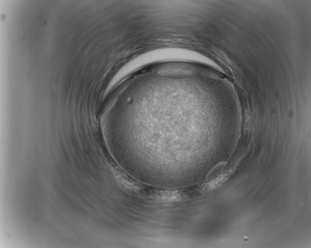 X0000087590377200705041515