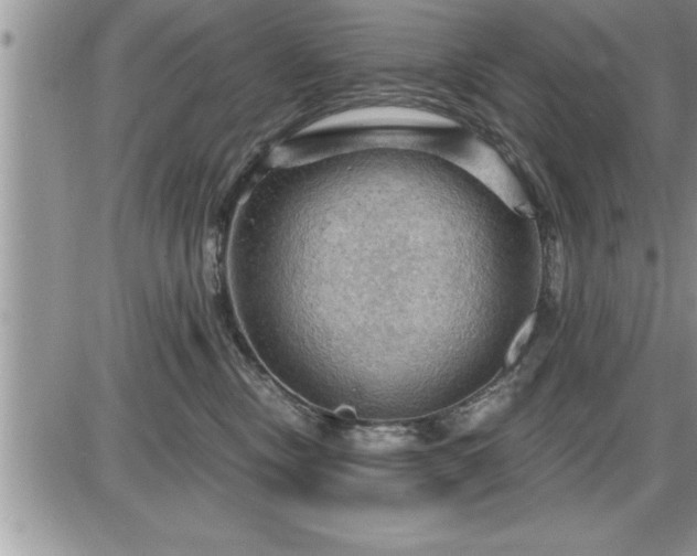 X0000087590378200705041515