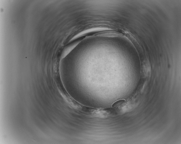 X0000087590379200705041515