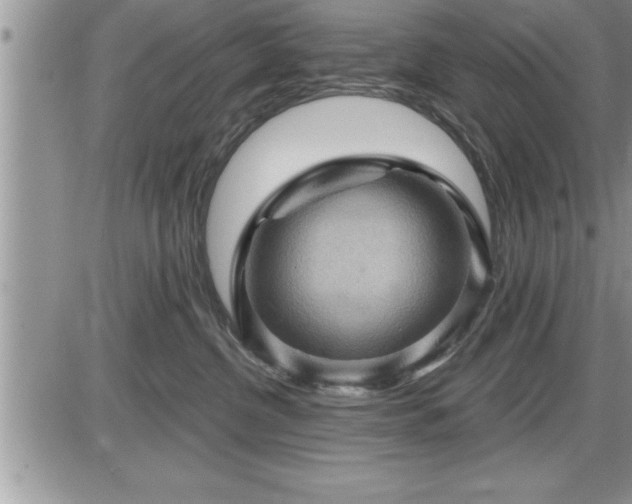 X0000087590380200705041515