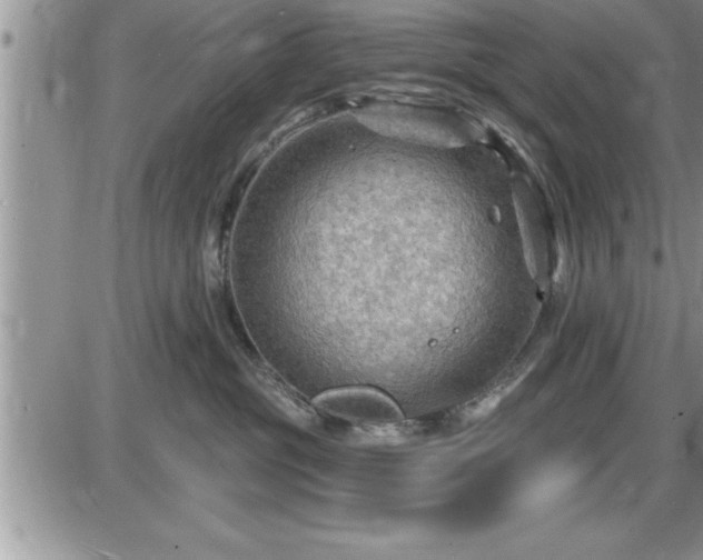 X0000087590381200705041515