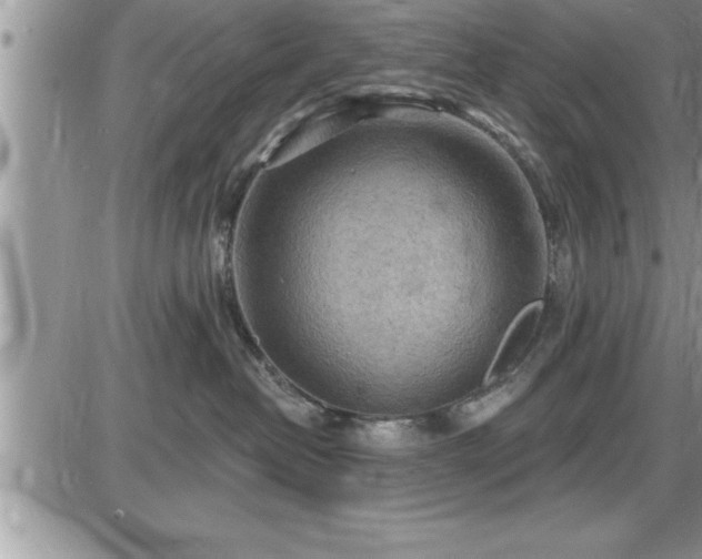 X0000087590382200705041515