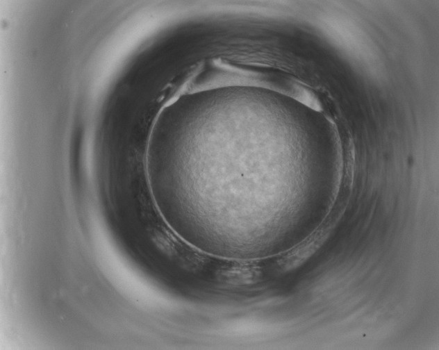 X0000087590383200705041515