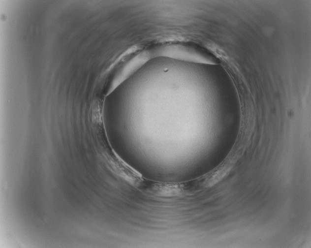 X0000087590384200705041515