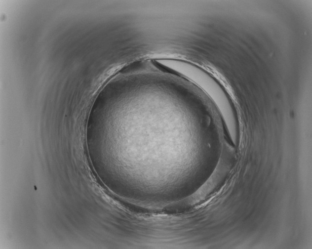 X0000087590385200705041514