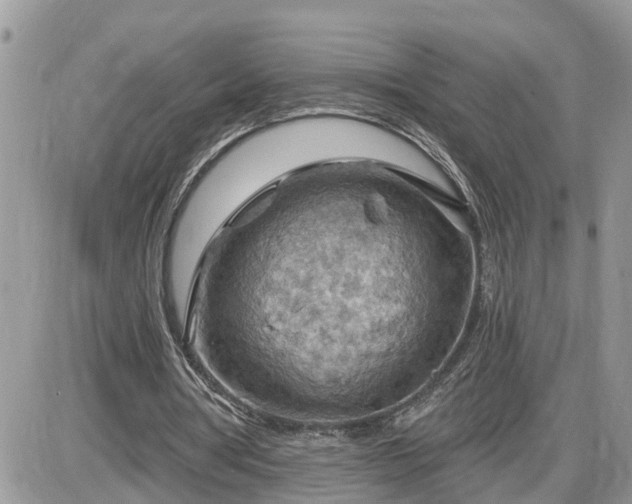 X0000087590386200705041514