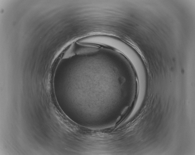 X0000087590387200705041514