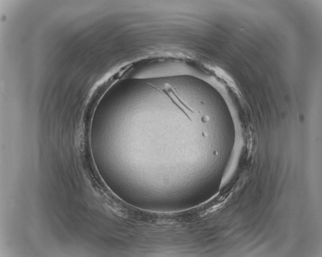 X0000087590388200705041514