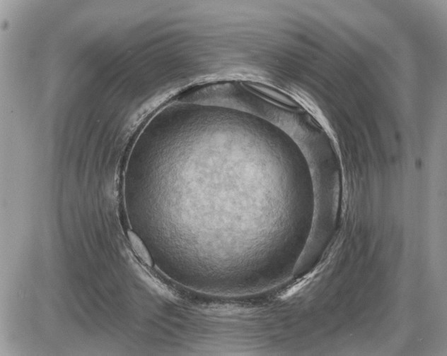 X0000087590389200705041514