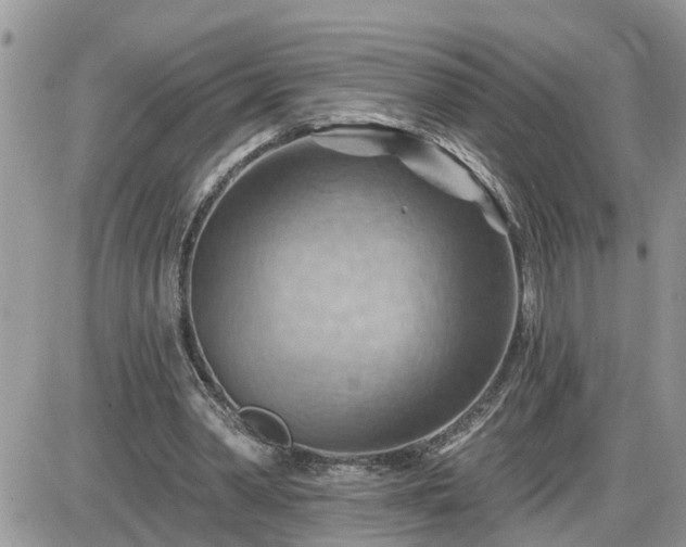 X0000087590390200705041514