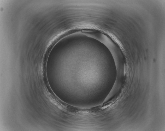 X0000087590391200705041514