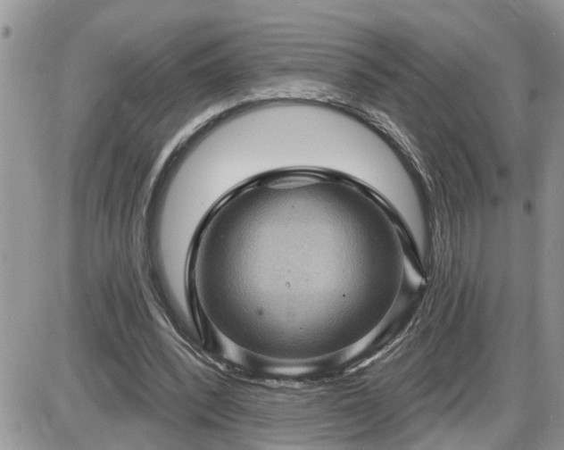 X0000087590392200705041514