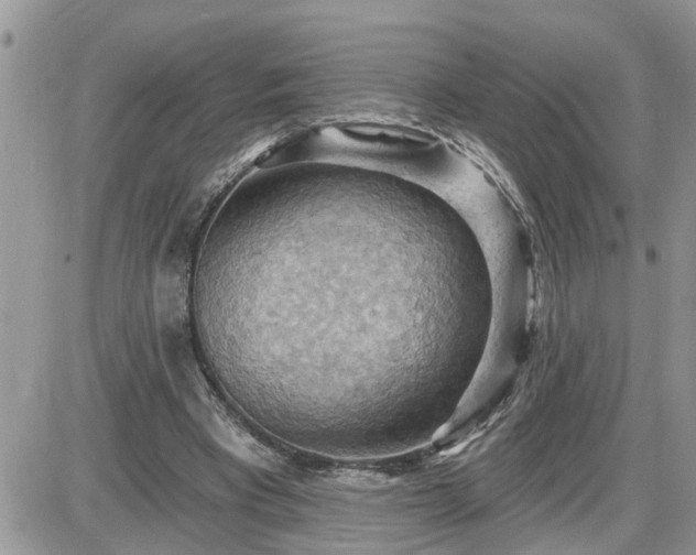 X0000087590393200705041514