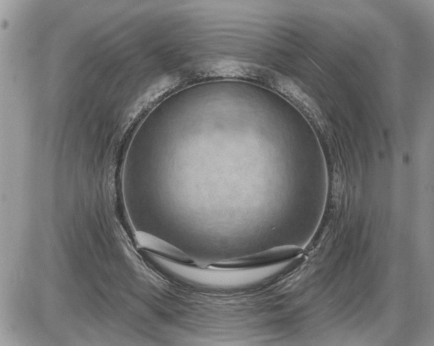 X0000087590394200705041514