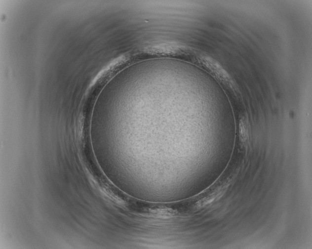 X0000087590396200705041514