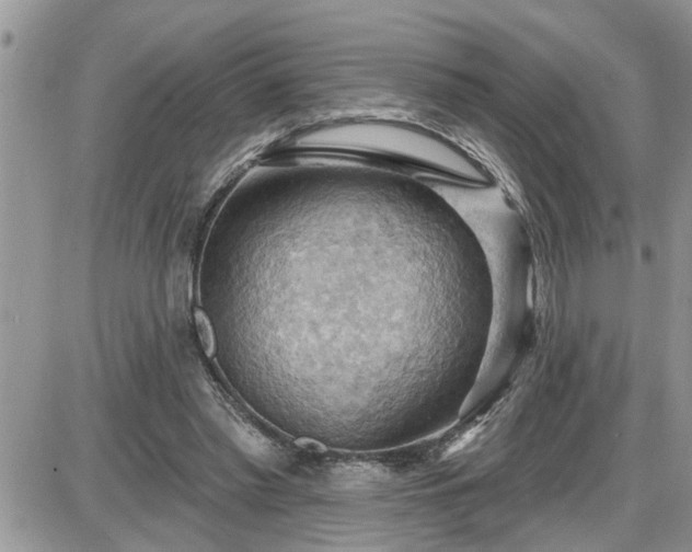 X0000087590397200705041514