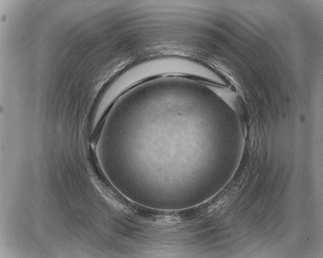 X0000087590398200705041514