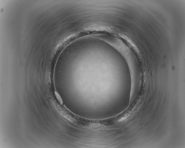 X0000087590399200705041514