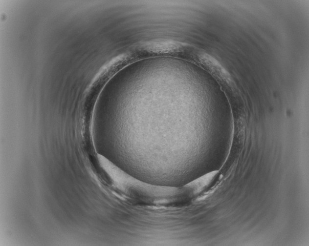 X0000087590400200705041514