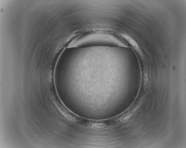 X0000087590401200705041514