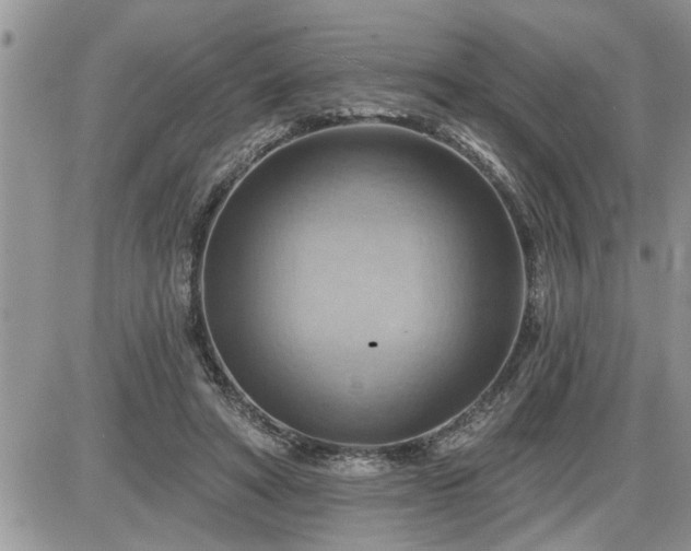 X0000087590402200705041514