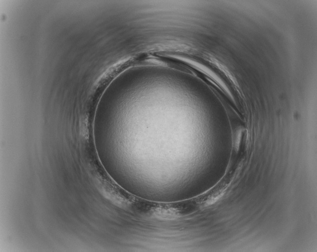 X0000087590403200705041514