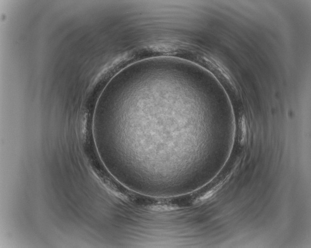 X0000087590404200705041514