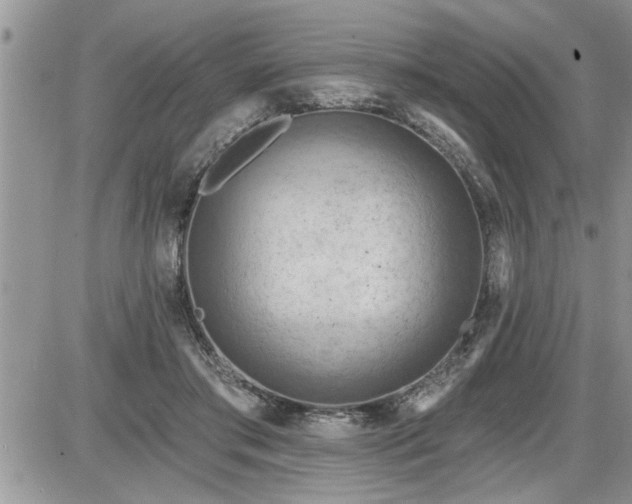 X0000087590405200705041514