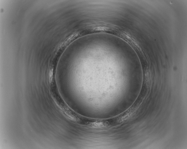 X0000087590406200705041514