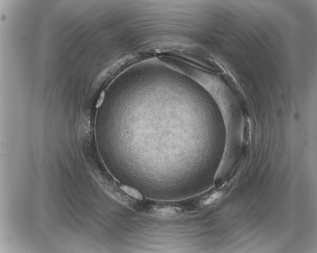 X0000087590407200705041514