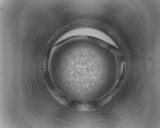 X0000087590408200705041514