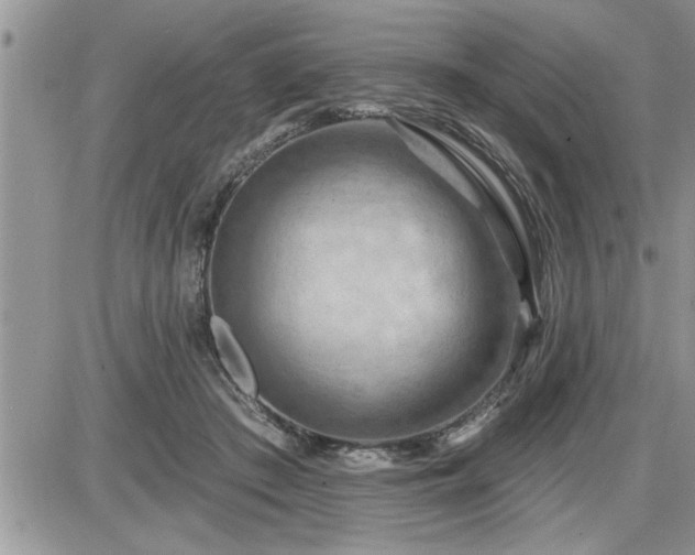 X0000087590409200705041514