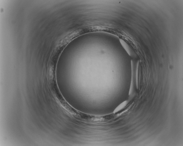 X0000087590410200705041514