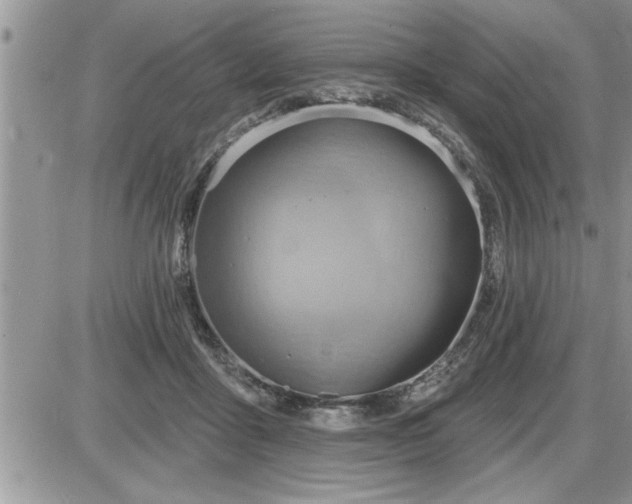 X0000087590411200705041514