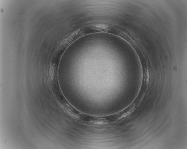 X0000087590412200705041514