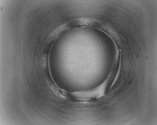 X0000087590413200705041514