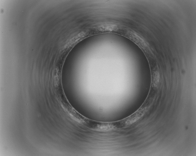 X0000087590414200705041514