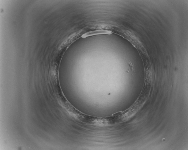 X0000087590415200705041514