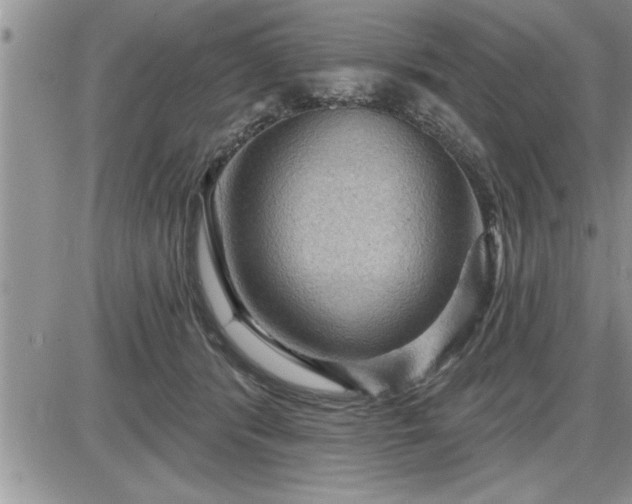 X0000087590416200705041514