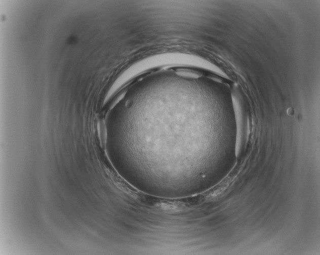 X0000087590417200705041514