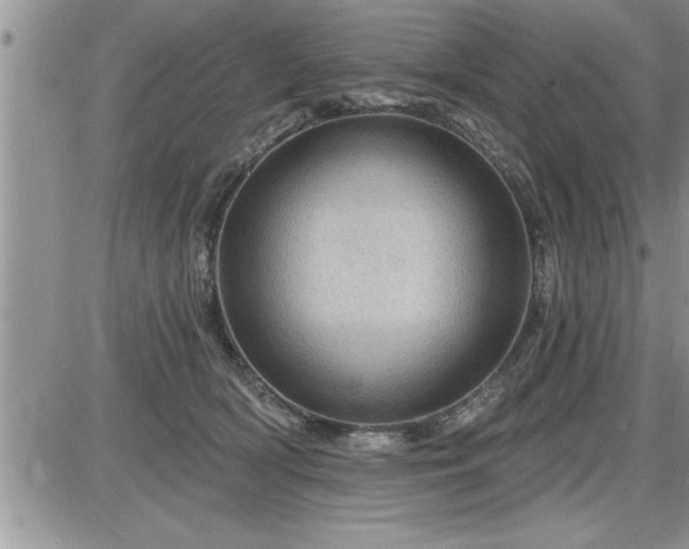 X0000087590418200705041514