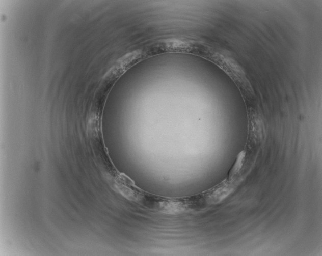 X0000087590419200705041514