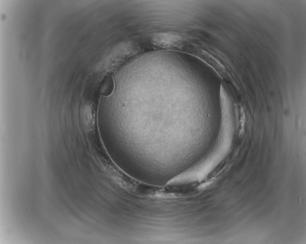 X0000087590420200705041514