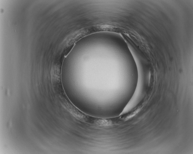 X0000087590421200705041514