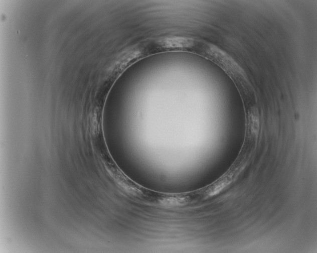 X0000087590422200705041514